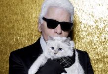 Часть своего миллионного состояние известный модельер завещал своей кошке