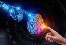 Эмоционалды интеллект: неге ол IQ-дан маңыздырақ?